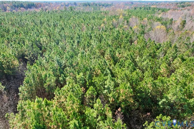 a view of a lush green forest with lots of trees