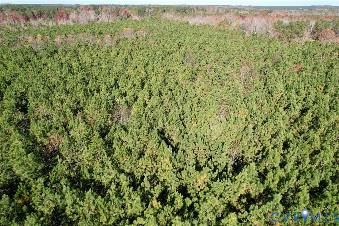 0 Grubby Road Wilsons, VA 23894 - Photo 9 of 27 a view of a green field