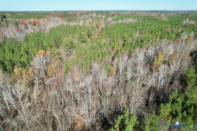 a view of a lush green forest with lots of trees