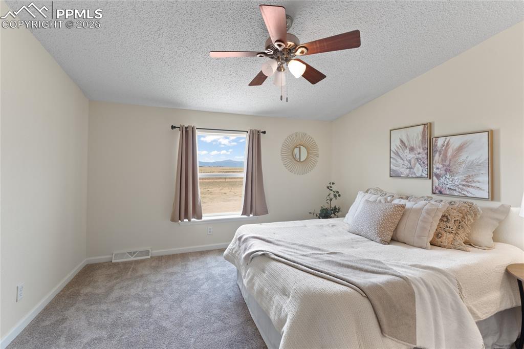5505 Whipshaw Road Peyton, CO 80831 - Photo 16 of 39 a bedroom with a large bed and a window