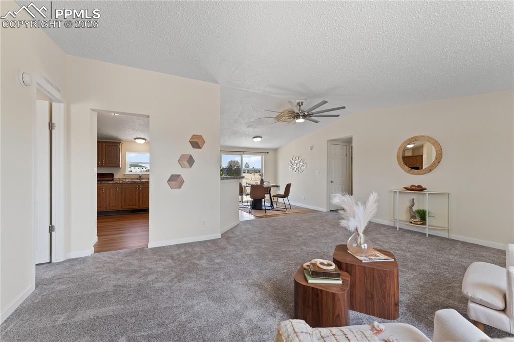 5505 Whipshaw Road Peyton, CO 80831 - Photo 7 of 39 a living room with furniture