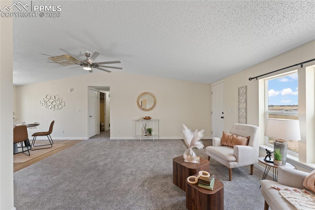 5505 Whipshaw Road Peyton, CO 80831 - Photo 8 of 39 a living room with furniture