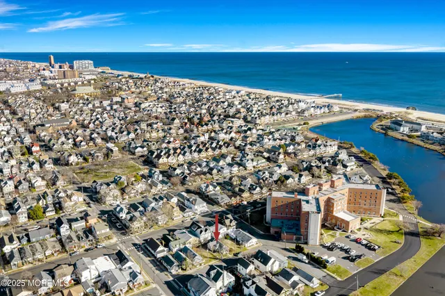 a variety of fruits and vegetables