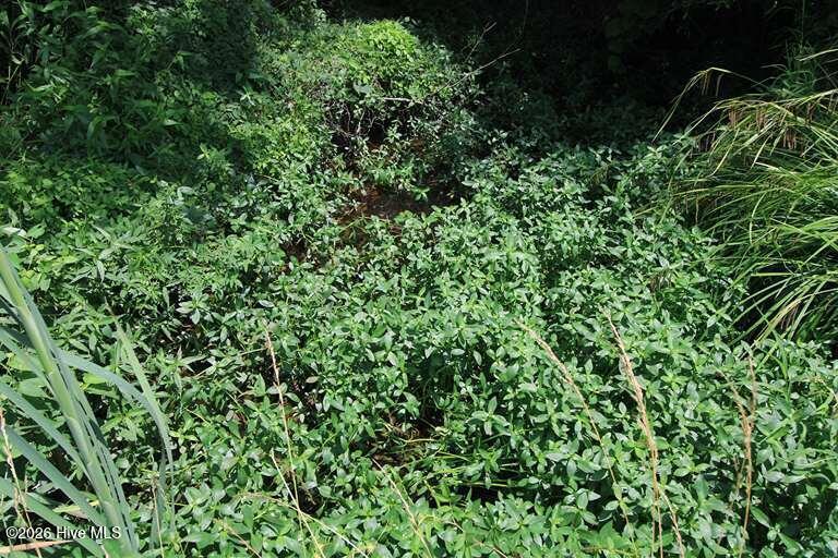 0 North River Road Camden, NC 27921 - Photo 27 of 50