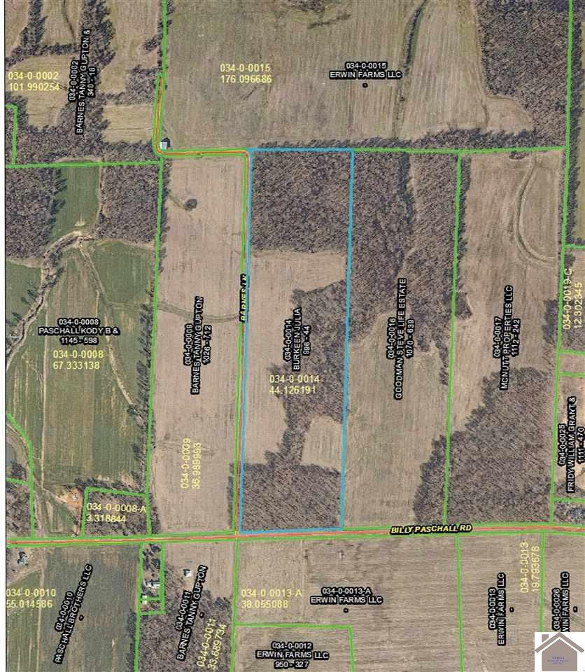 0 Billy Paschall Road Murray, KY 42071 - Photo 1 of 1 Photo 1