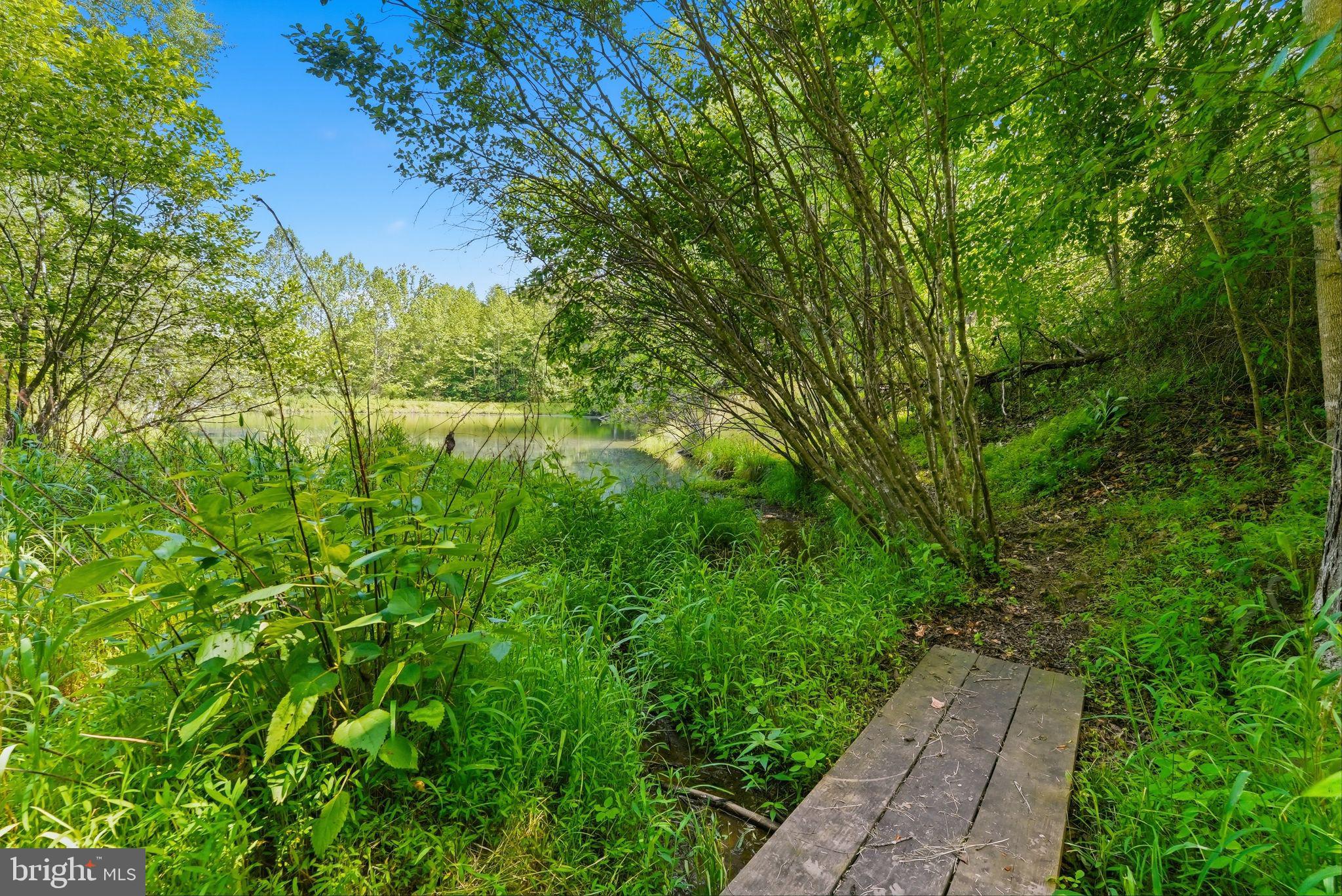 Castle Rock Lane Castleton, VA 22716 - Photo 12 of 15 Path around pond