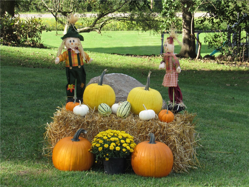 656 Filkins Road Arcadia, NY 14513 - Photo 2 of 49 Gallery Image 2