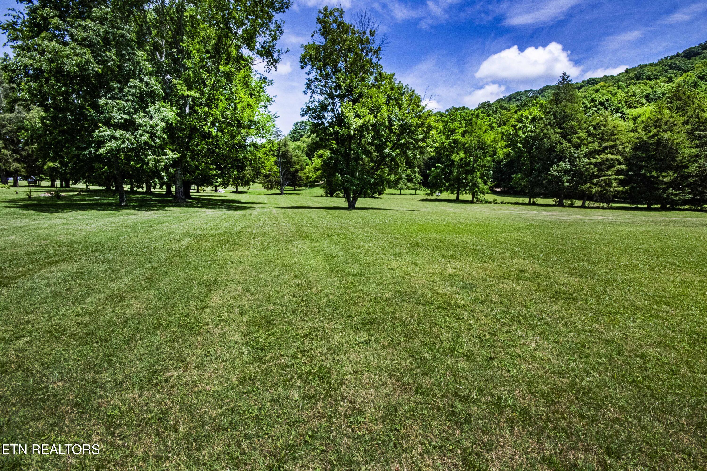 9436 Naff Road Heiskell, TN 37754 - Photo 52 of 60 90E655E6-63D5-4B1A-8C10-0107D539923F