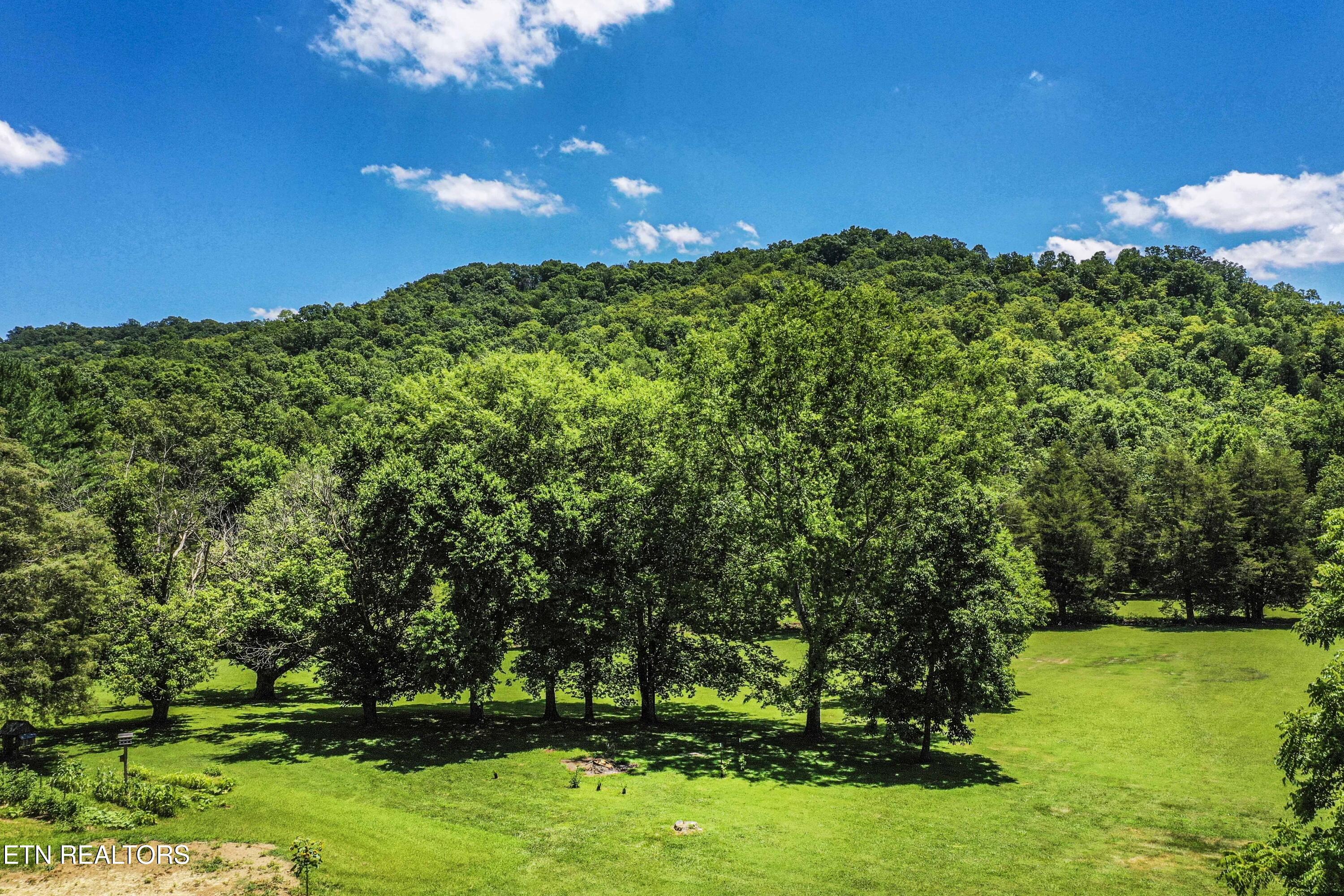 9436 Naff Road Heiskell, TN 37754 - Photo 60 of 60 15C82697-57E8-4ABB-B046-ECB27A0198C4