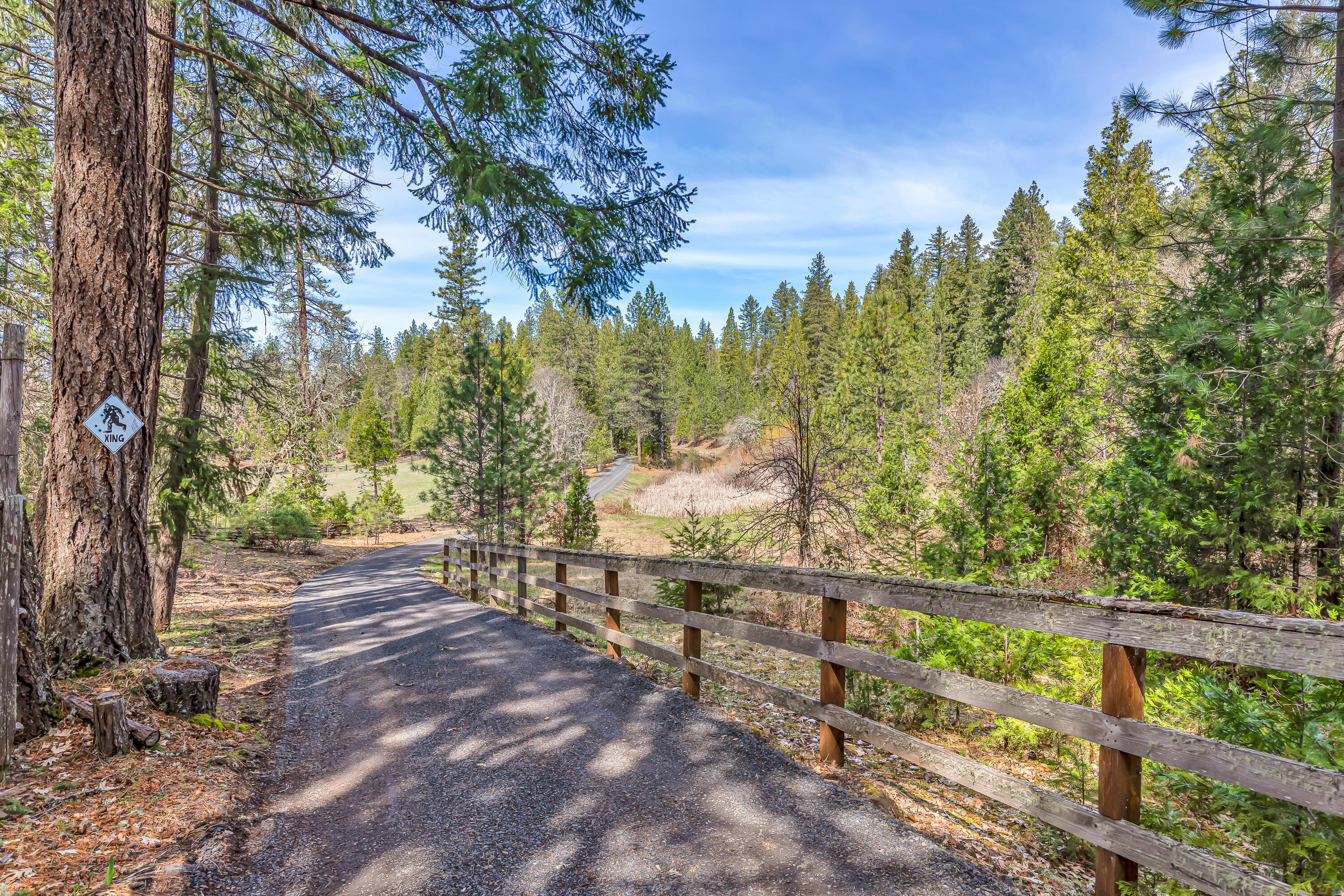 2455 Cobleigh Road Eagle Point, OR 97524 - Photo 48 of 63 9R9A5958