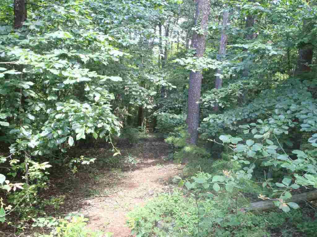 Lot 6 Carter Road Anderson, SC 29626 - Photo 7 of 10 Gallery Image 7