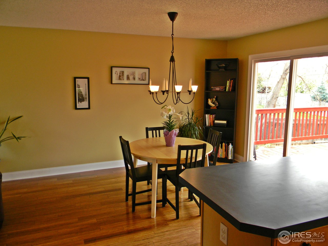 1317 Country Club Road Fort Collins, CO 80524 - Photo 9 of 24 Gallery Image 9