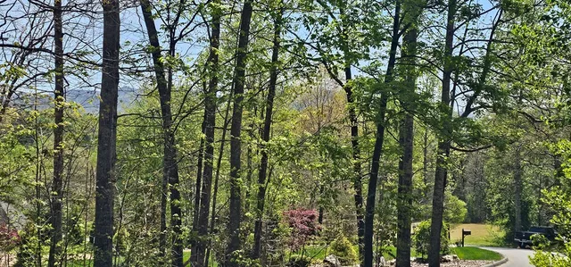 $389,900 | 446 Licklog Ridge, Hayesville, NC 28904