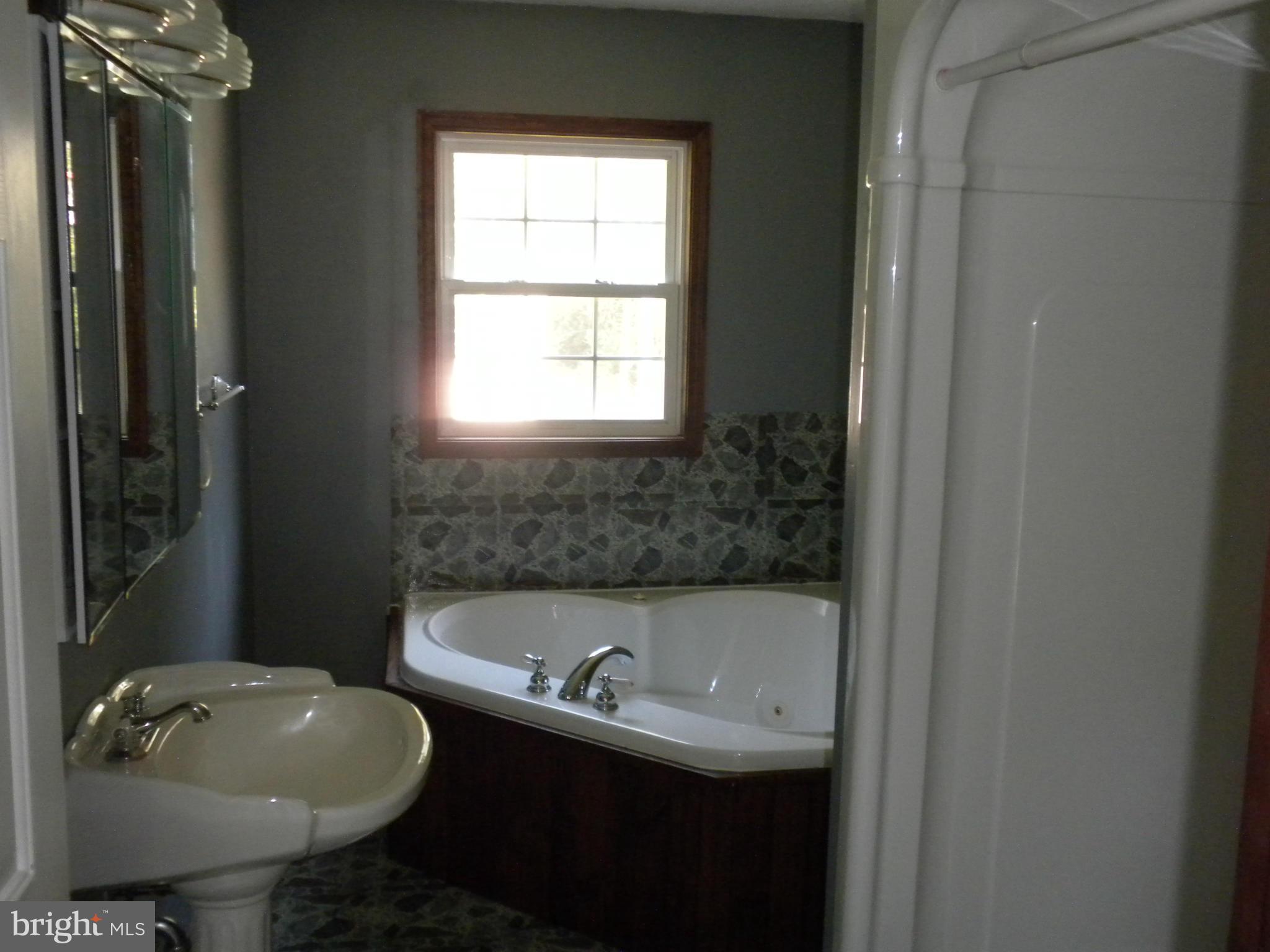10558 Colfax Road Chestertown, MD 21620 - Photo 18 of 23 Bath (Master)