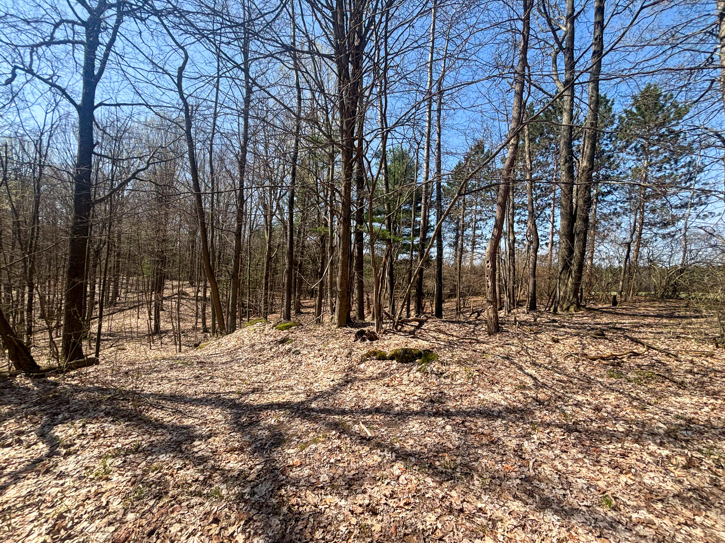 7415 East Anthony Road Branch, MI 49402 - Photo 83 of 99 IMG_2531