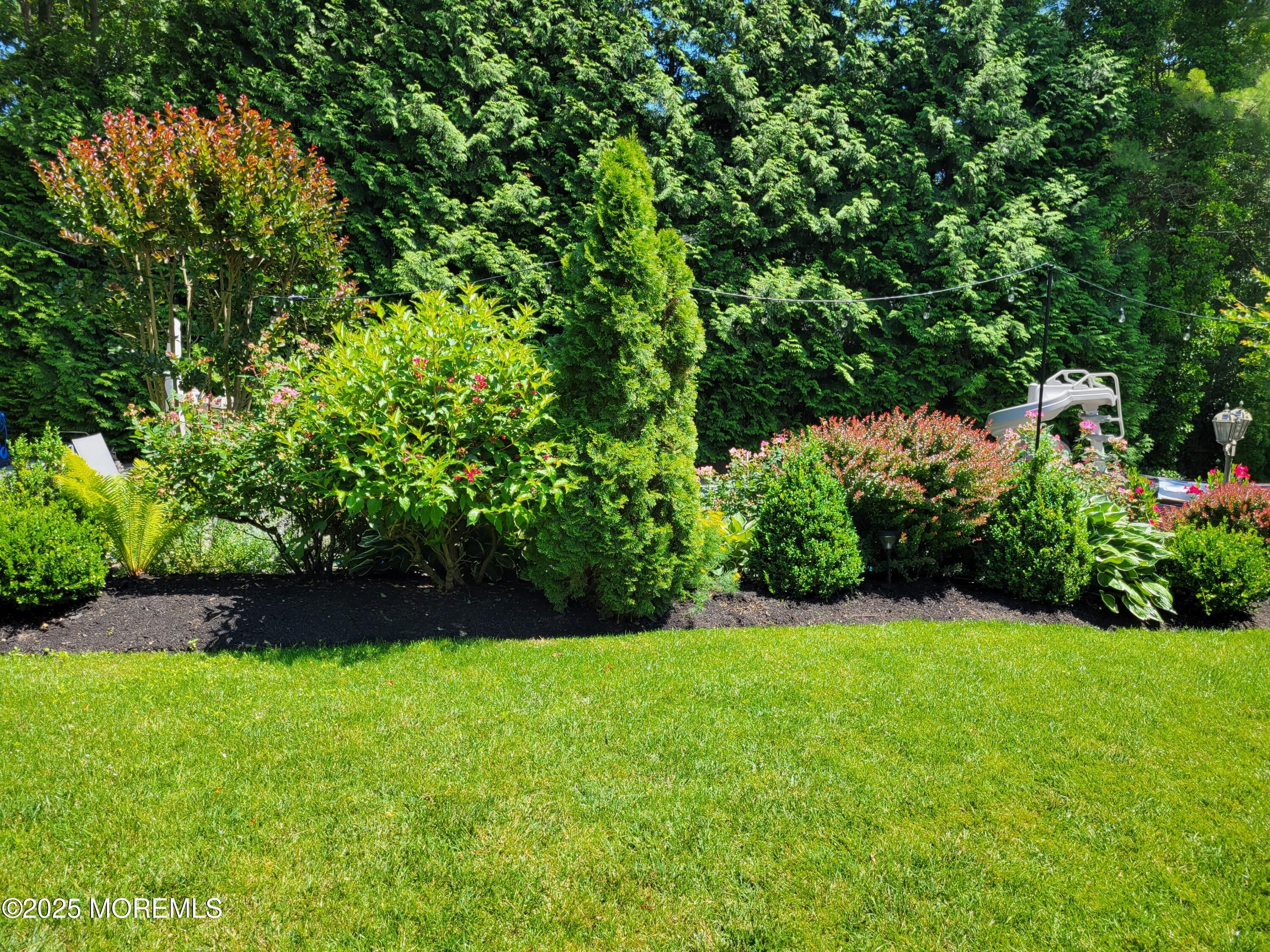 654 Valley Road Brielle, NJ 08730 - Photo 101 of 117 20220625_141010_3592 (1)