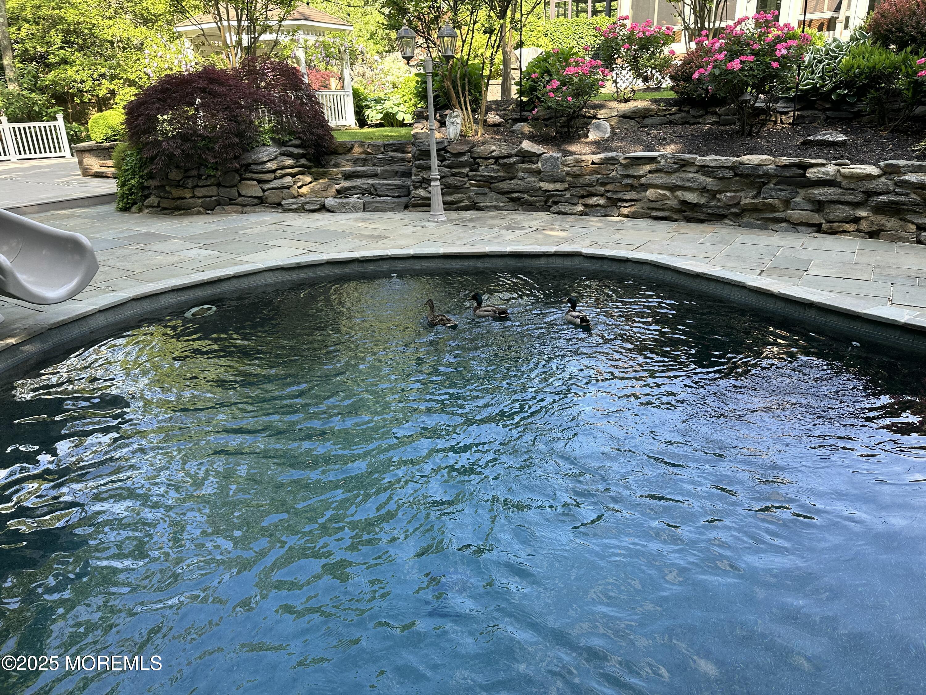 654 Valley Road Brielle, NJ 08730 - Photo 88 of 117 20230529_090703_IMG_4206