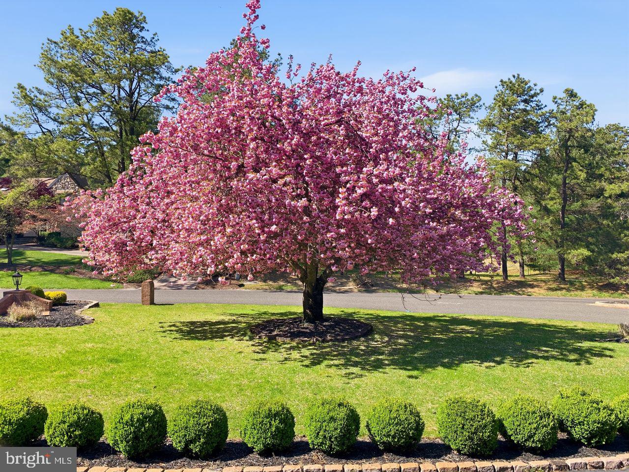 2 Teaberry Drive Medford, NJ 08055 - Photo 6 of 72
