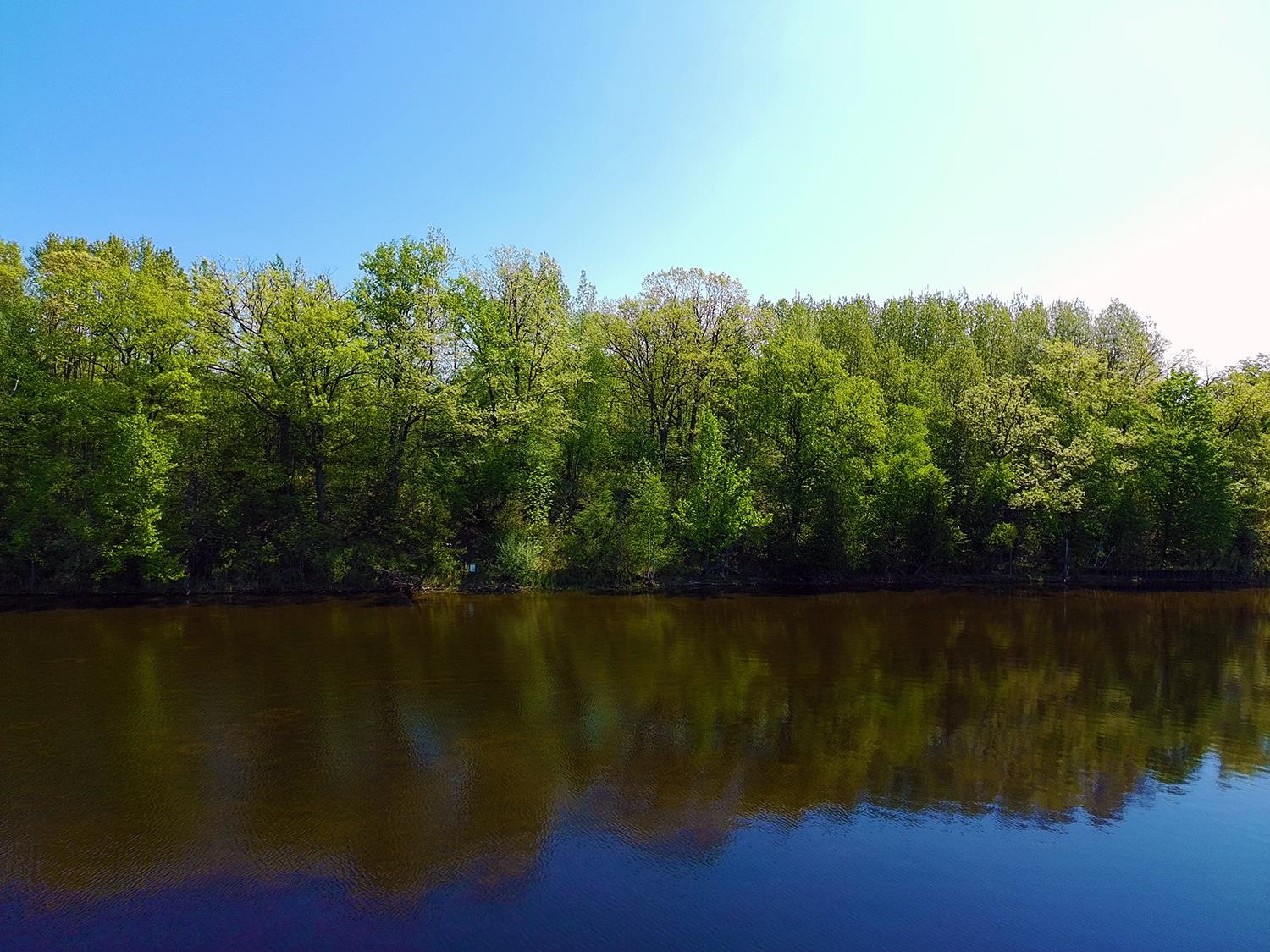 V/l Bass Lake Road Lupton, MI 48635 - Photo 1 of 15