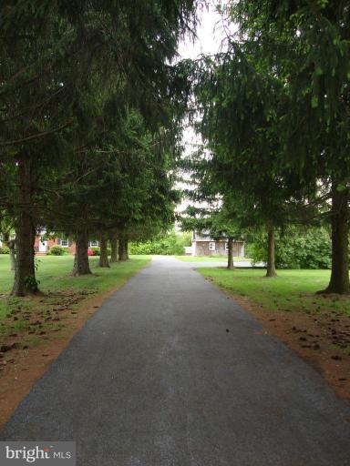 1926 Bulls Sawmill Road Freeland, MD 21053 - Photo 20 of 30 Tree lined driveway