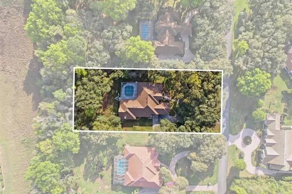 a view of a garden with flowers