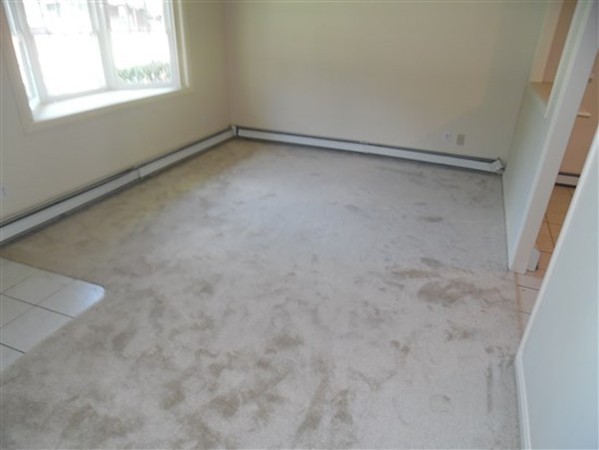 356 Theresa Road Bellingham, MA 02019 - Photo 16 of 18 Gallery Image 16