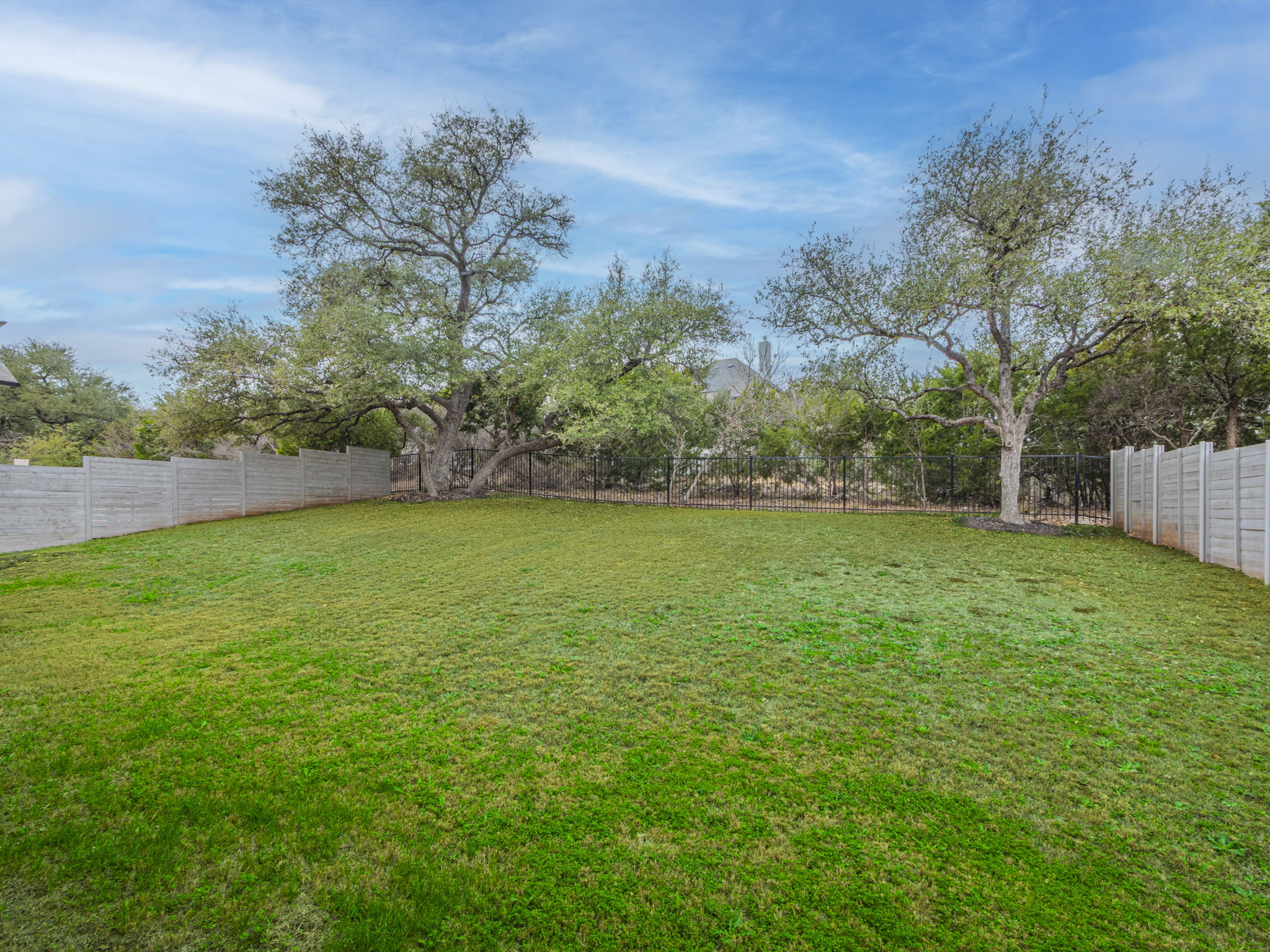 112 Hollytree Court Georgetown, TX 78628 - Photo 36 of 40 a view of yard with grass and a trees