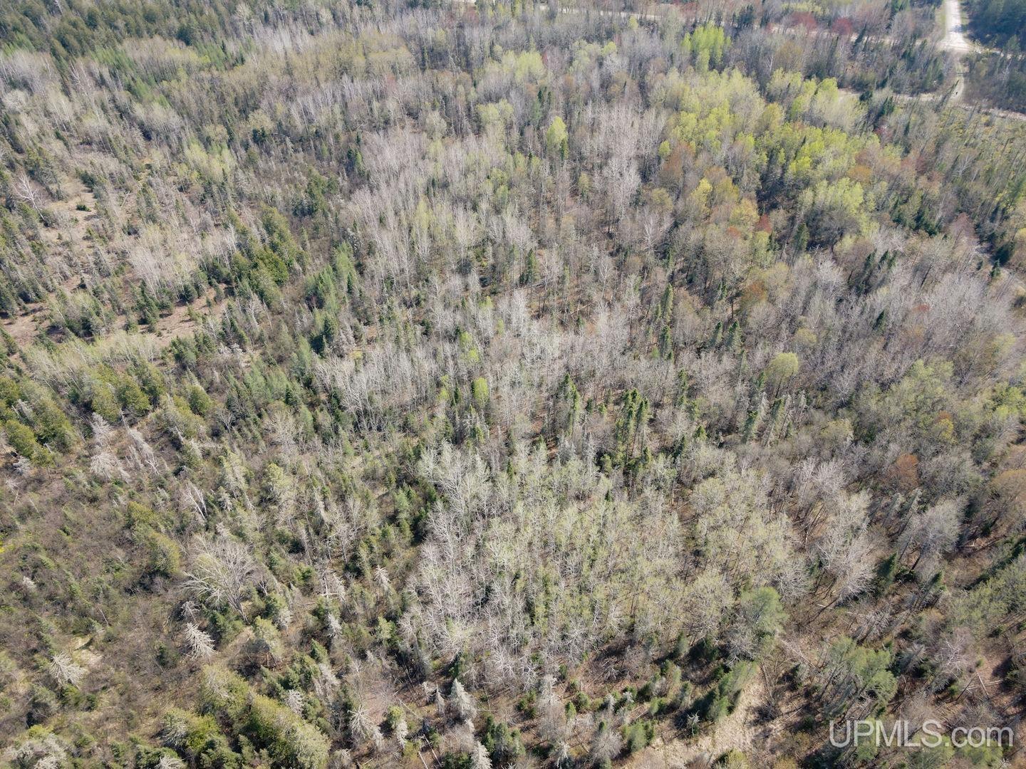 Tbd Parks Farm Road Crystal Falls, MI 49903 - Photo 8 of 10 Gallery Image 8