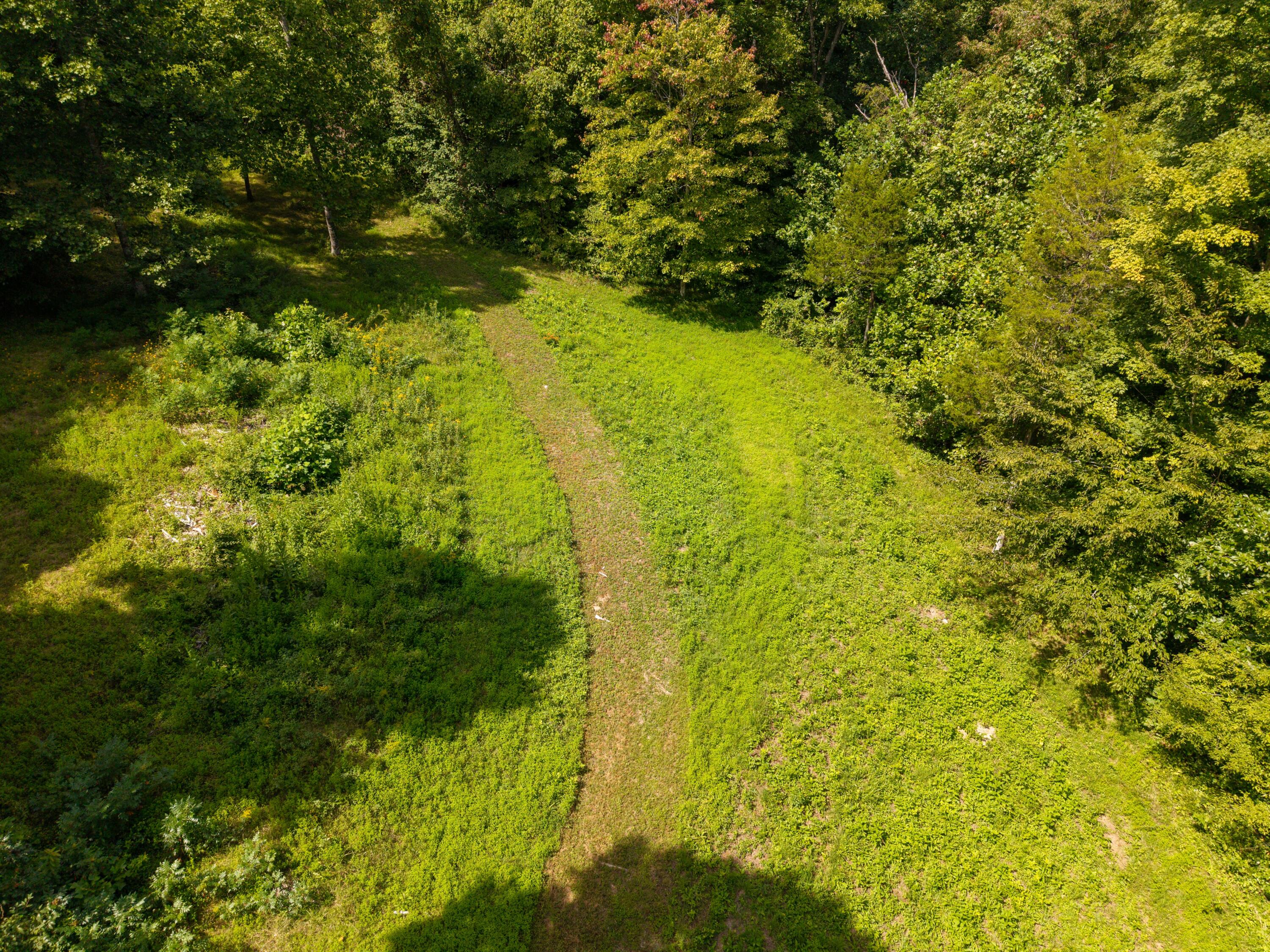 480 Phillips Hollow Road Monticello, KY 42633 - Photo 21 of 33 480 Phillips Photo-6