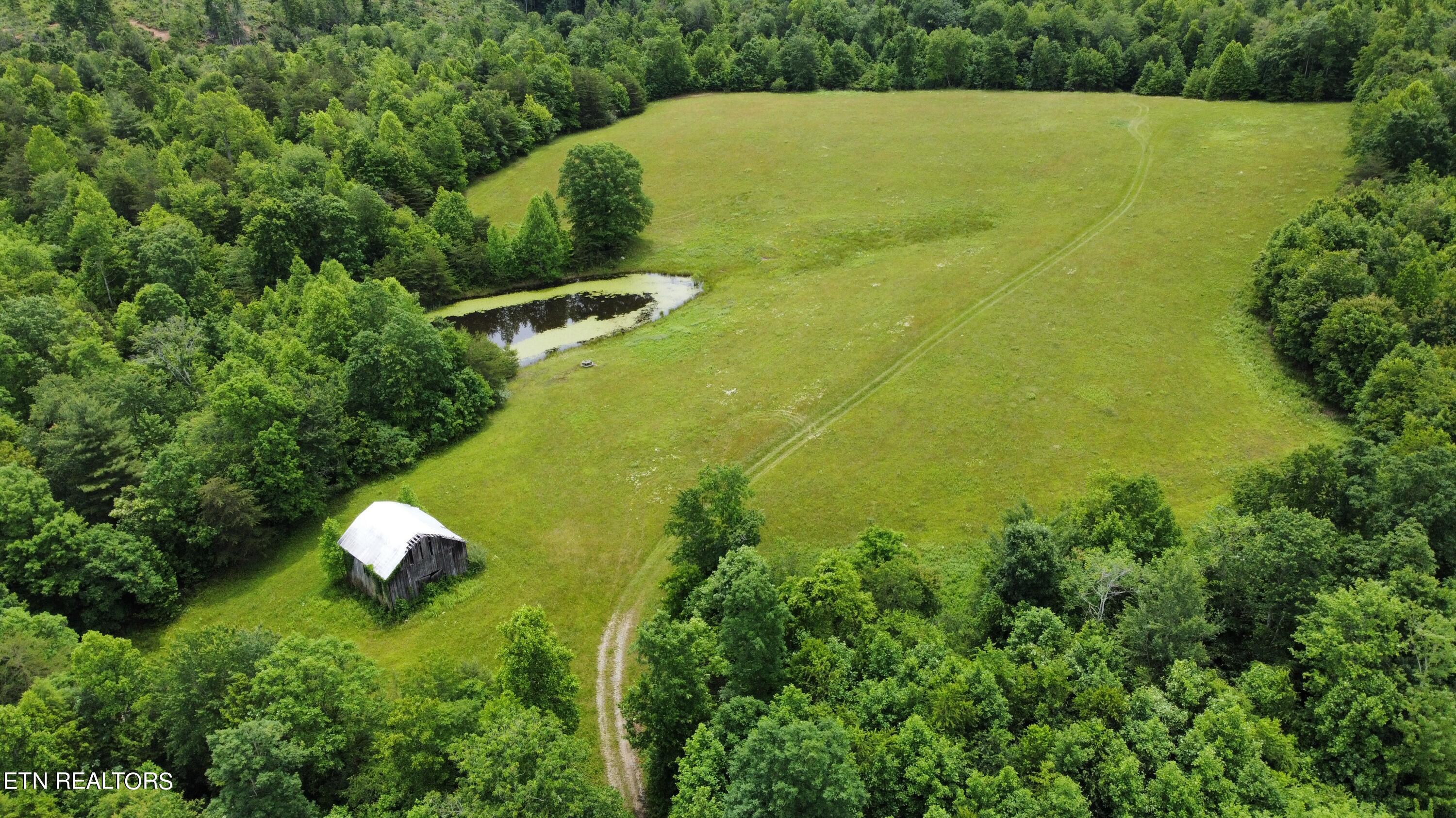Photo May 24 2024, 12 50 23 PM
