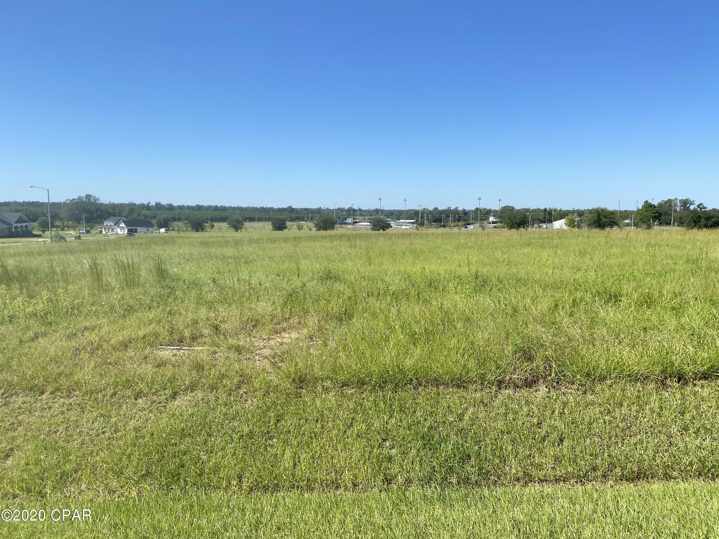 0 Caverns Road Marianna, FL 32446 - Photo 4 of 10