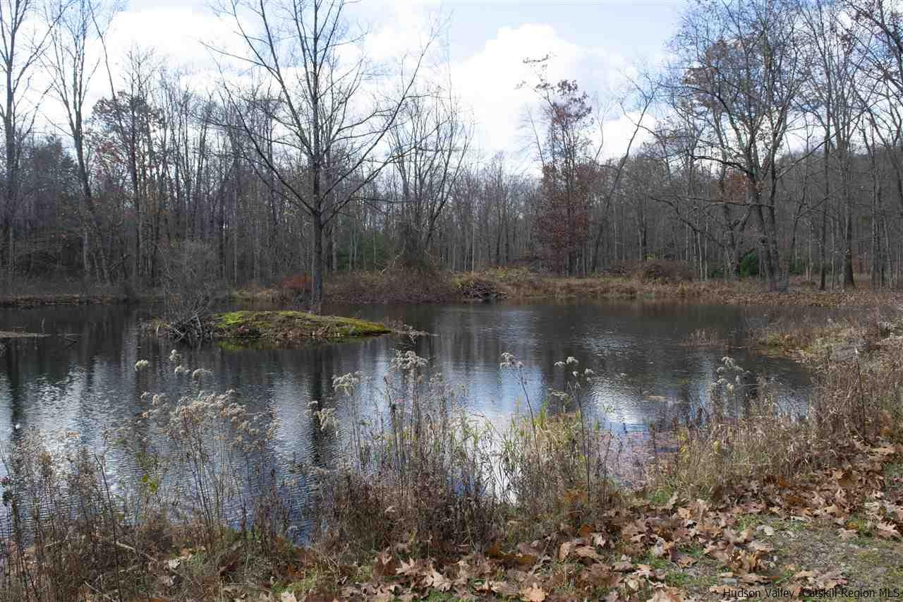 169 Ridge Road Shokan, NY 12481 - Photo 30 of 33 Photo 30