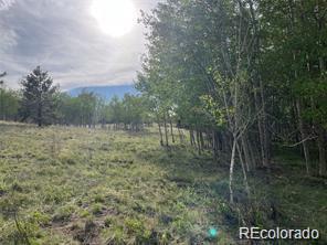 1599 Campfire Road Hartsel, CO 80449 - Photo 12 of 39