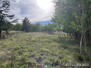 1599 Campfire Road Hartsel, CO 80449 - Photo 14 of 39