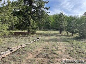 1599 Campfire Road Hartsel, CO 80449 - Photo 15 of 39