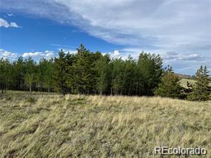 1599 Campfire Road Hartsel, CO 80449 - Photo 17 of 39