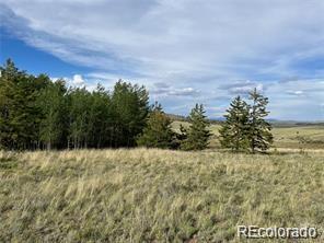 1599 Campfire Road Hartsel, CO 80449 - Photo 18 of 39