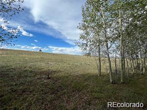 1599 Campfire Road Hartsel, CO 80449 - Photo 21 of 39