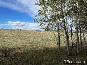 1599 Campfire Road Hartsel, CO 80449 - Photo 24 of 39