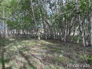 1599 Campfire Road Hartsel, CO 80449 - Photo 25 of 39