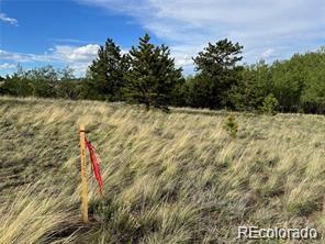 1599 Campfire Road Hartsel, CO 80449 - Photo 27 of 39