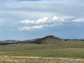 1599 Campfire Road Hartsel, CO 80449 - Photo 28 of 39