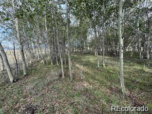 1599 Campfire Road Hartsel, CO 80449 - Photo 30 of 39