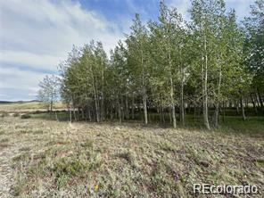 1599 Campfire Road Hartsel, CO 80449 - Photo 31 of 39