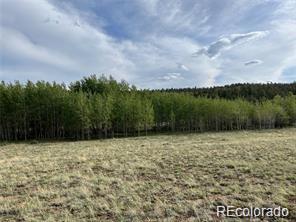 1599 Campfire Road Hartsel, CO 80449 - Photo 32 of 39