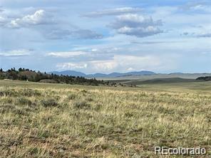1599 Campfire Road Hartsel, CO 80449 - Photo 33 of 39