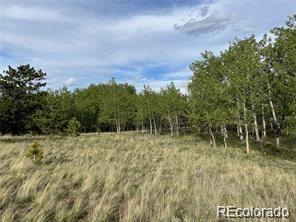 1599 Campfire Road Hartsel, CO 80449 - Photo 34 of 39