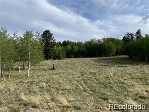 1599 Campfire Road Hartsel, CO 80449 - Photo 35 of 39