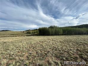 1599 Campfire Road Hartsel, CO 80449 - Photo 36 of 39