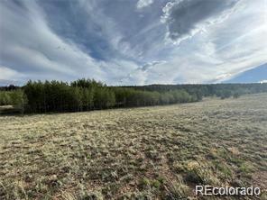1599 Campfire Road Hartsel, CO 80449 - Photo 37 of 39